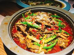 -猫头婴小酒馆FUN OWL(1912店)