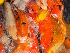 -老码头火锅(骡马市店)