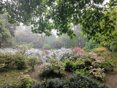 -杭州植物园