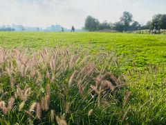 -汉长安城未央宫国家考古遗址公园