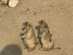 -祥源·阜阳生态乐园