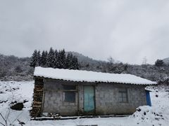 -武陵山森林公园