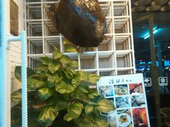 -镜泊湖酒家(兴华街金鼎店)