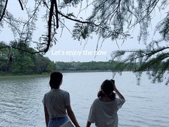 -东湖落雁景区