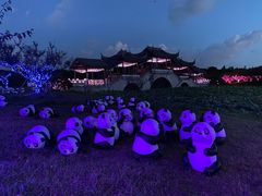 -上海海湾国家森林公园