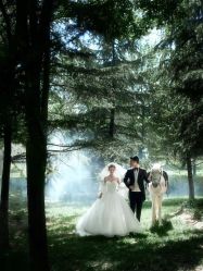 -拾尚映画·STUDIO婚纱摄影(中关村店)