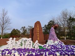 -江苏三台山国家森林公园