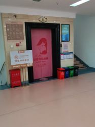 -北京安琪