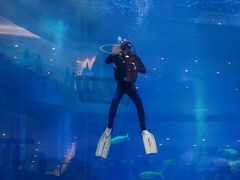 -成都浩海立方海洋公园