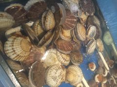 老虎滩大连海鲜烧烤-老虎滩大连海鲜烧烤(建邺云锦路总店)