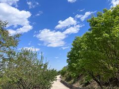 -鹫峰国家森林公园