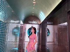 -深圳国际会展中心希尔顿酒店(前海华发冰雪世界店)