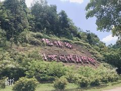 -李小龙乐园(顺德均安店)