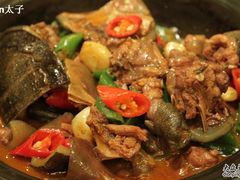 甲鱼-神洲四海大酒楼(王府井澳门中心店)