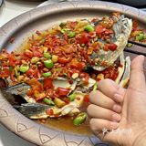 会玩的人夏天都在千岛湖！