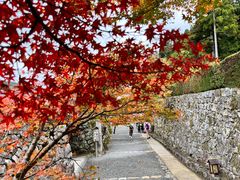 -三千院