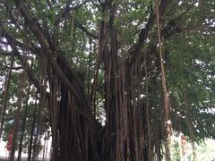 -潮喜竹溪荔湖酒家(荔枝湾店)