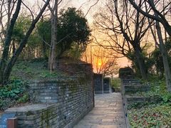 -广富林郊野公园