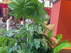 -老船舫·现做活鲜鱼馆(东郊记忆店)