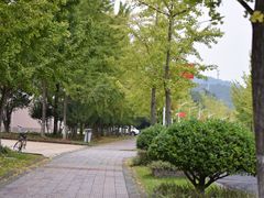 -浙江农林大学(东湖校区)