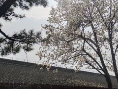 -红螺寺