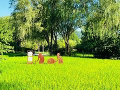 -北坞公园