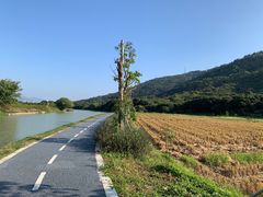 -风云岭森林公园