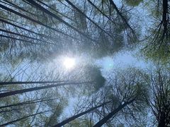 -山王坪喀斯特国家生态公园