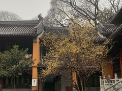 -灵谷景区