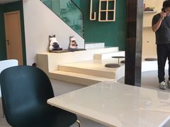 -飞行喵MR PILOT|猫舍·猫咖(静安大融城店)