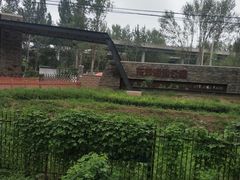 -东郊湿地公园