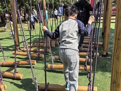 -苏州太湖西山岛开心农场