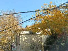 -申粤轩酒楼·三十年粤菜经典(丁香花园店)
