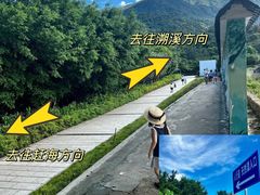 -杨梅坑