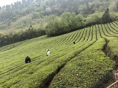 -敬亭山风景名胜区
