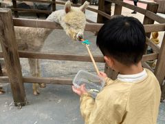 -陕西自然博物馆