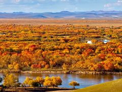 -北极村旅游风景区