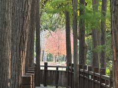 -东湖落雁景区