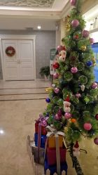 -西安现代妇产医院医疗美容