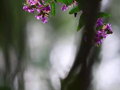 -四海公园(南山区)