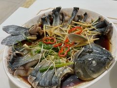 -煲来饱去冷水鱼