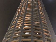 -新加坡瑞士史丹福酒店