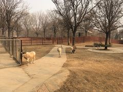 -石家庄市动物园