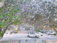 -山东师范大学(千佛山校区)