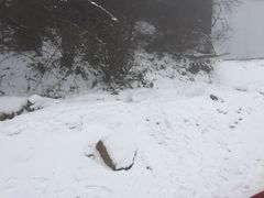 -太子岭滑雪场