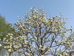 -老陆稿荐(西中市店)