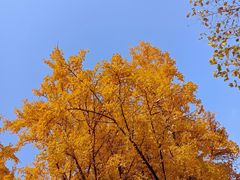 -贮水山儿童公园