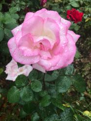 -杉惠素颜美妆皮肤管理中心