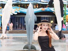 -海合安成都极地海洋公园