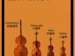 -MusicLife音乐(浦东校区)